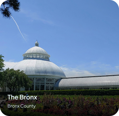 Bronx